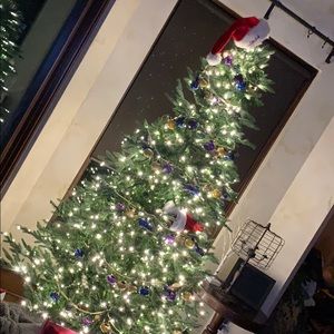 Meet your Posher, Molly